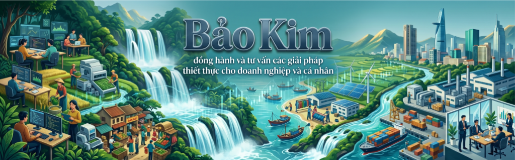 Bảo Kim, tư vấn đầu tư, tư vấn quản trị kinh doanh, tư vấn setup tái cấu trúc doanh nghiệp..