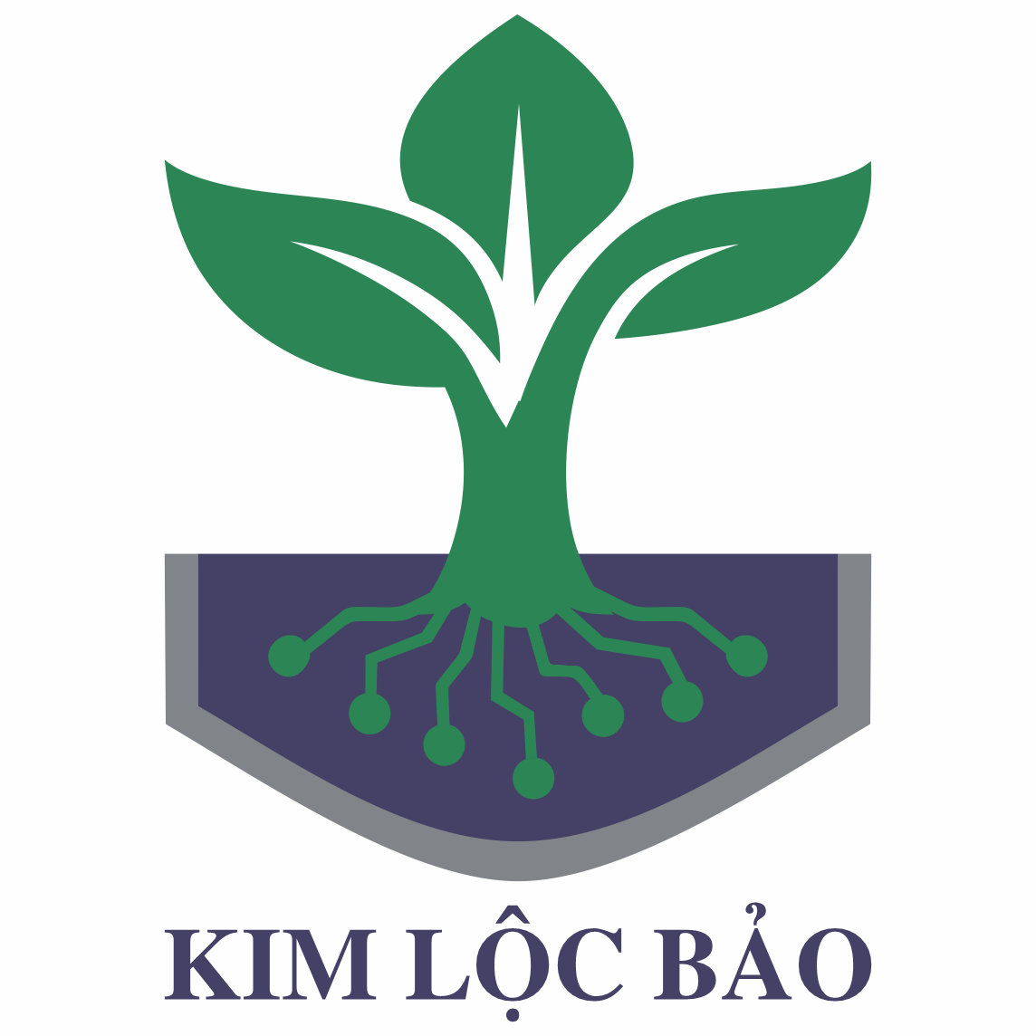 Công ty TNHH 1TV Đầu tư Công nghệ Kim Lộc Bảo